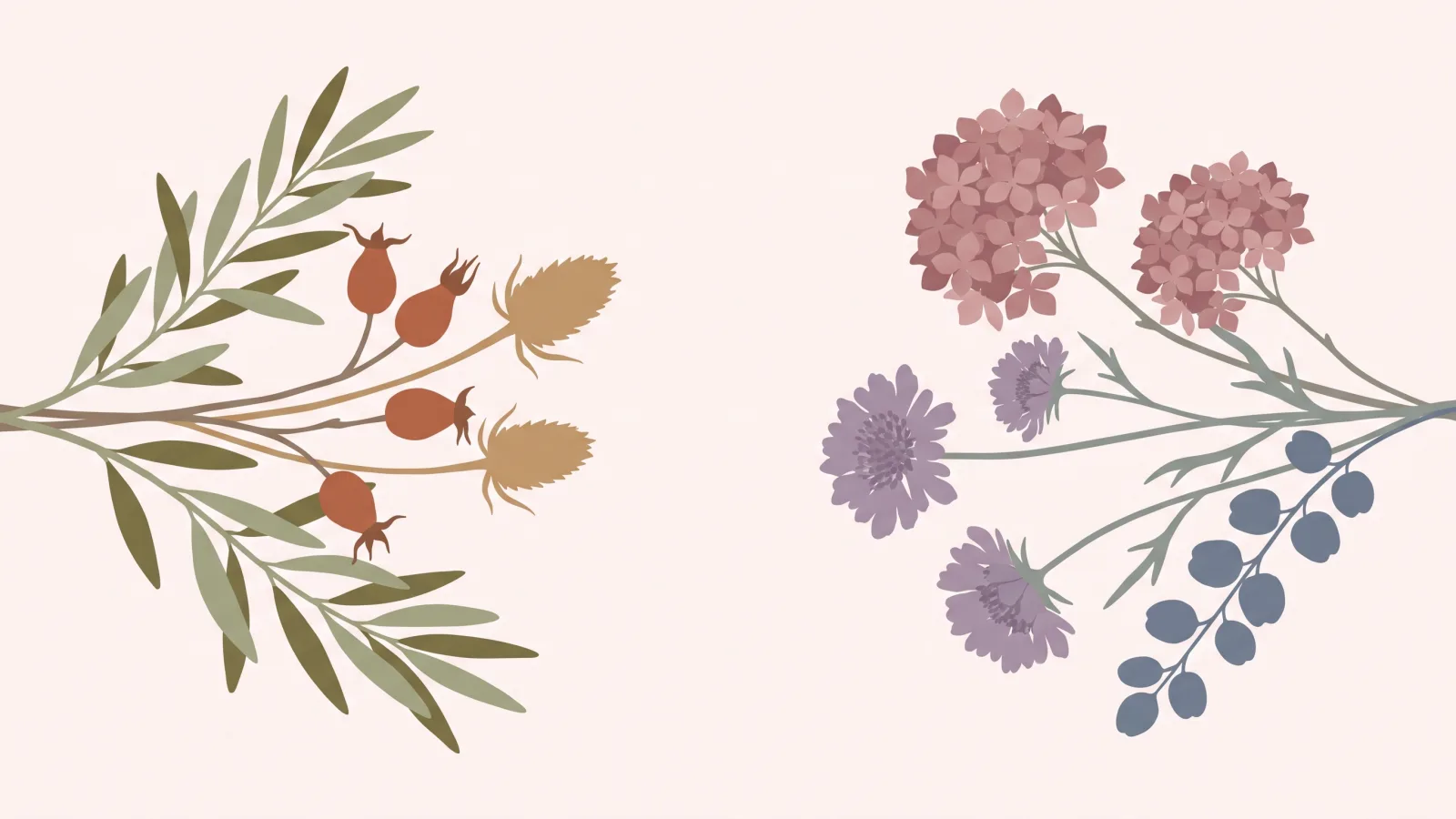 Two sprays of muted plants facing each other across an empty blush center: olive leaves, rust rosehips and camel seed heads on the left, dusty rose hydrangea, mauve scabiosa and slate blue berries on the right.